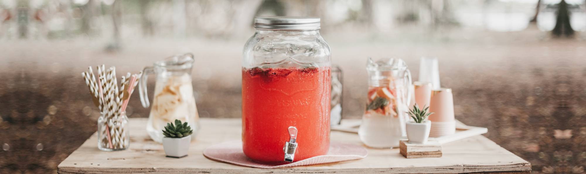 Louer de la vaisselle pour traiteur à Toulon Var