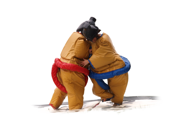 Jeu de Sumo avec Tapis Puzzle pour enfants, Idéal pour amuser vos enfants