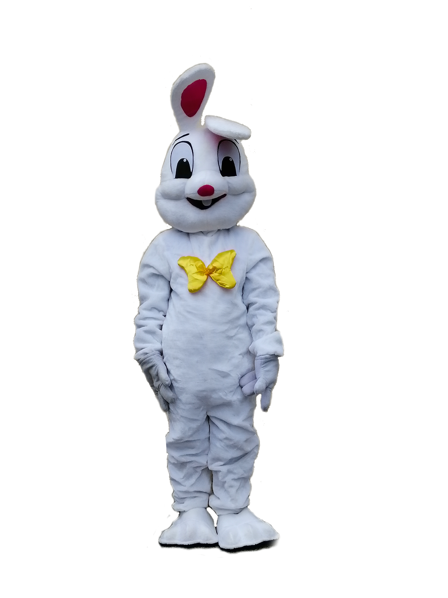 Costume de mascotte lapin blanc