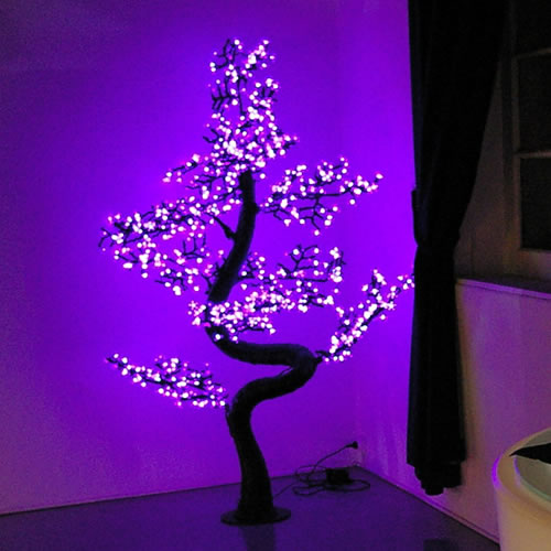 Location Arbre Bonzai lumineux pour vos evenements prestigieux à Ramatuelle 83350 Var PACA