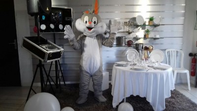 Location Costume Mascotte à 83110